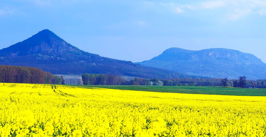 Nagy-Csakany, Hungary